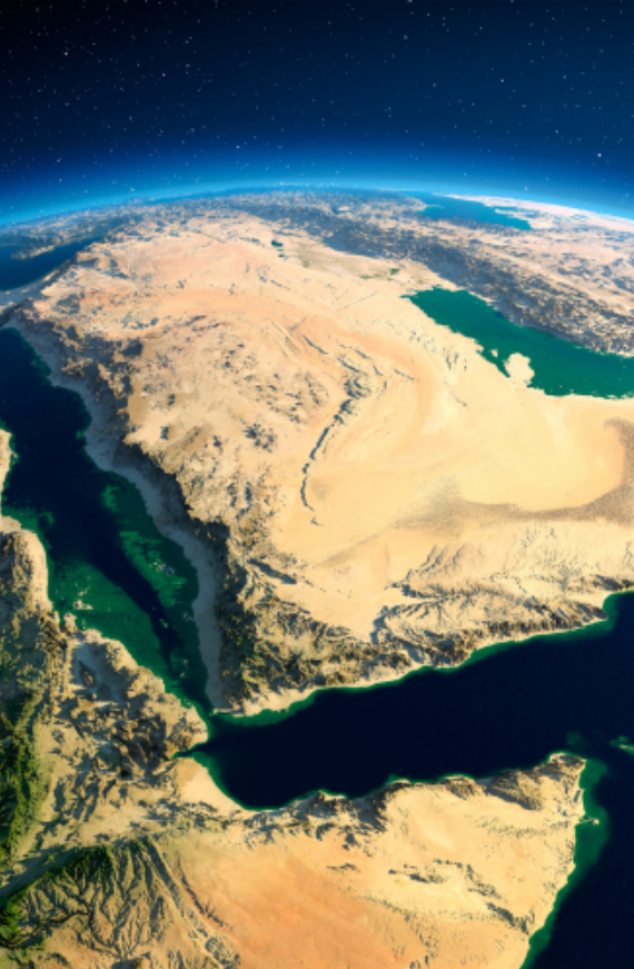 التجارة التجارة